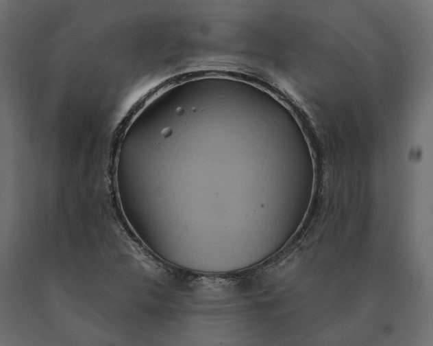 X0000090471312200708031255