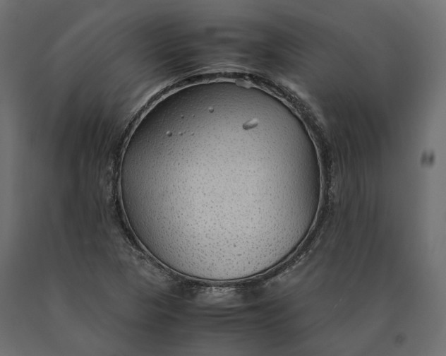 X0000090471313200708031255