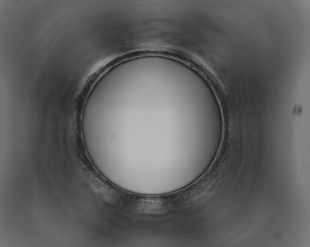 X0000090471315200708031255