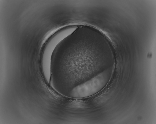 X0000090471319200708031256