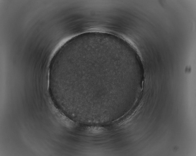 X0000090471323200708031256