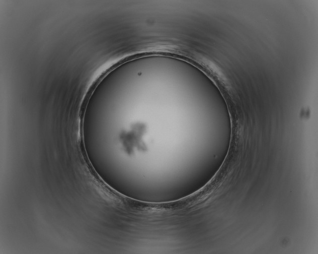 X0000090471324200708031256