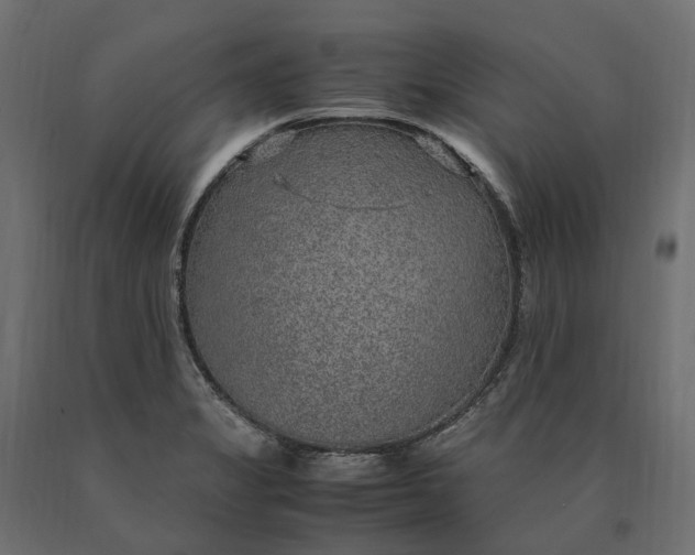 X0000090471325200708031256