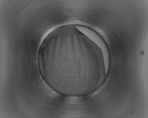 X0000090471326200708031256