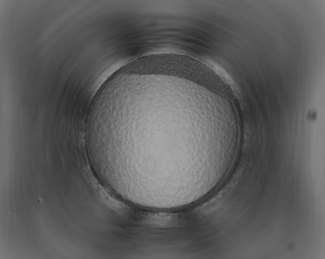 X0000090471329200708031256