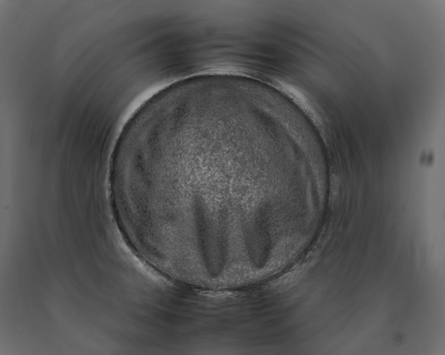 X0000090471331200708031256