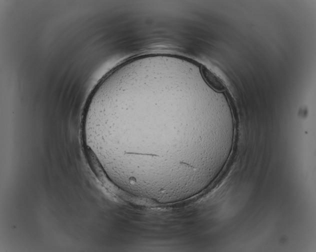 X0000090471333200708031256