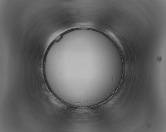 X0000090471336200708031256