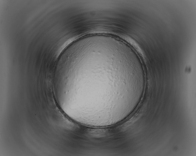 X0000090471337200708031256