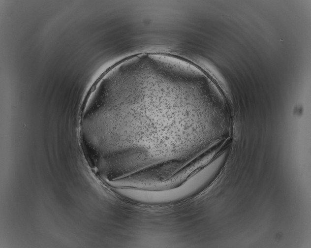 X0000090471340200708031256