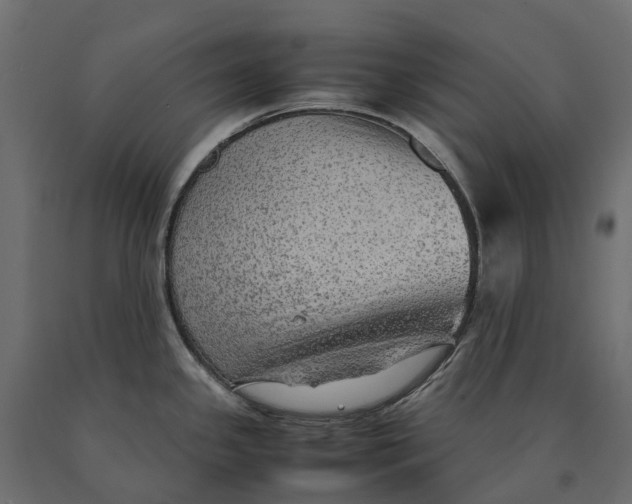 X0000090471341200708031256