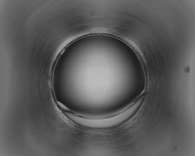 X0000090471342200708031256