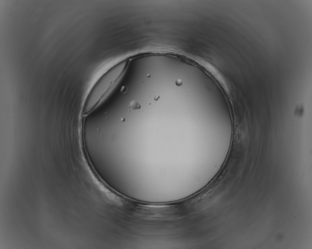 X0000090471343200708031256