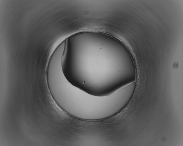 X0000090471344200708031256