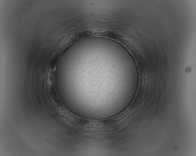 X0000090471346200708031255