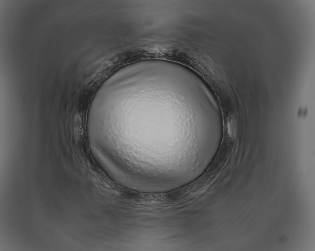 X0000090471347200708031255