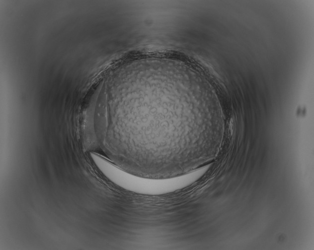 X0000090471348200708031255