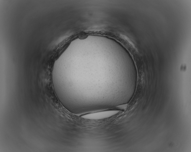 X0000090471350200708031255