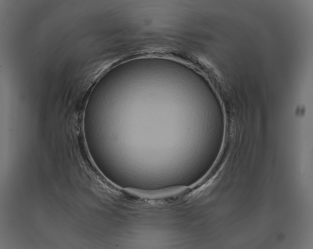 X0000090471353200708031255