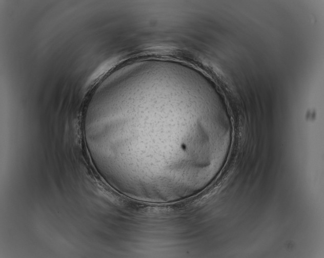 X0000090471354200708031255