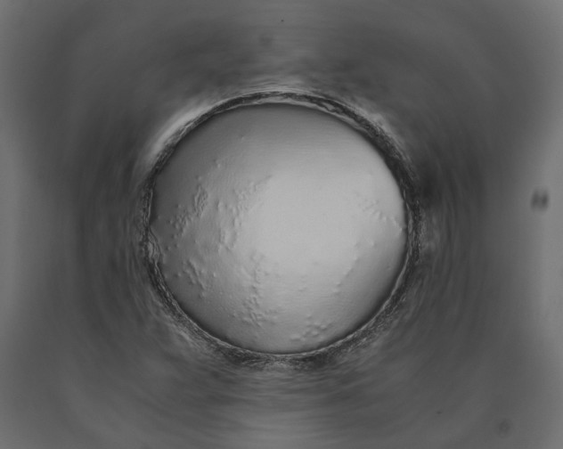 X0000090471359200708031255