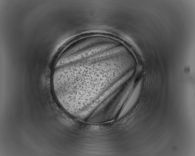 X0000090471360200708031255