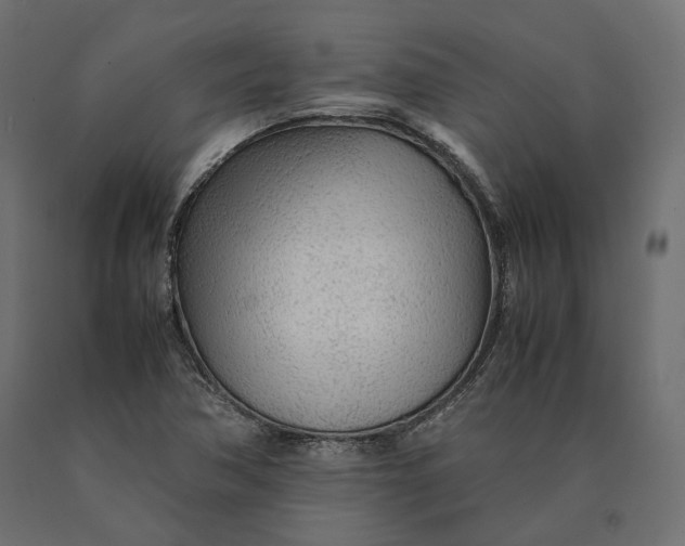 X0000090471362200708031255