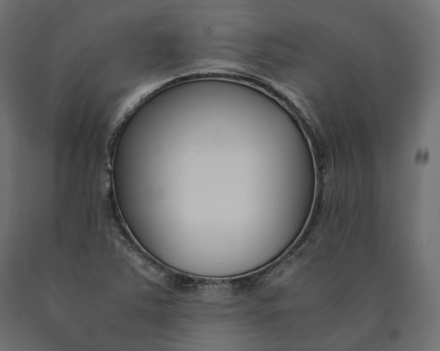 X0000090471363200708031255