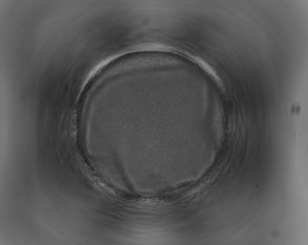 X0000090471364200708031255