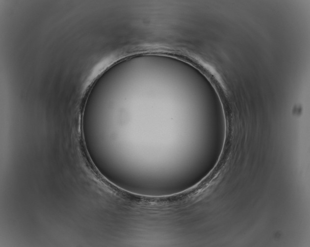 X0000090471365200708031255