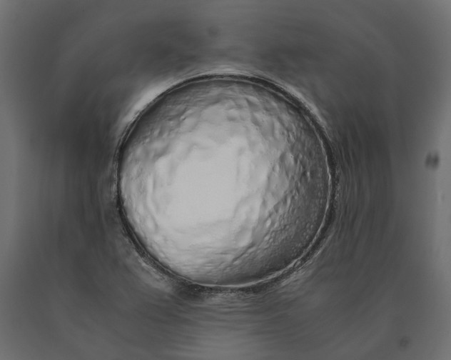 X0000090471367200708031255