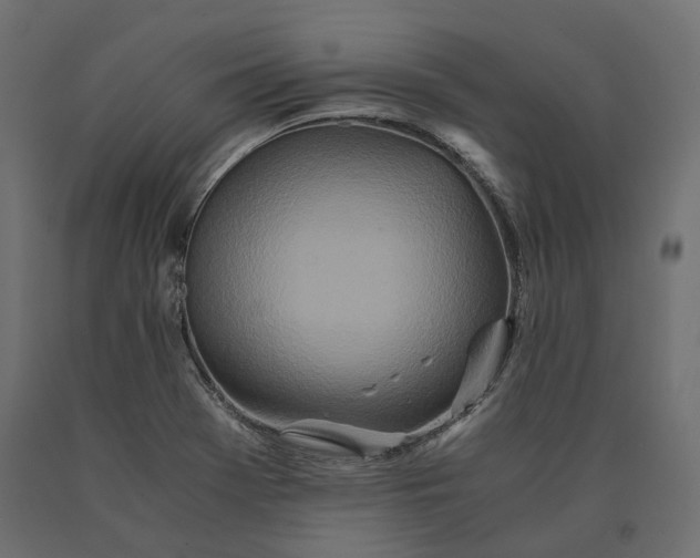 X0000090471369200708031255