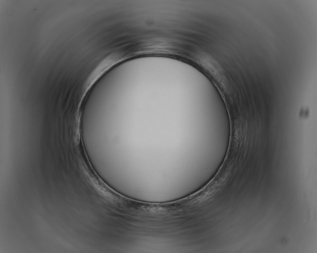 X0000090471370200708031255