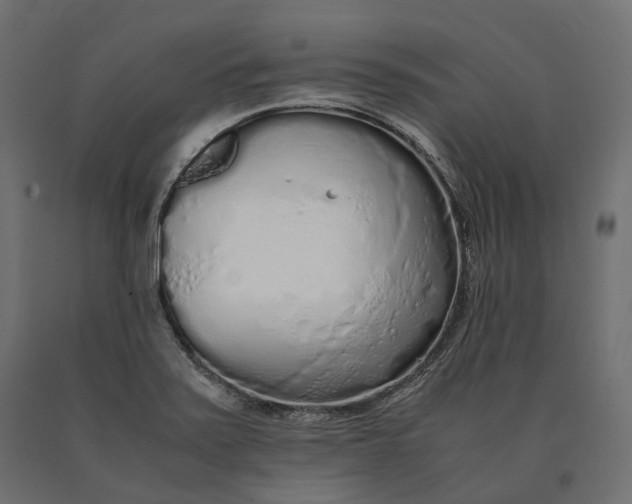 X0000090471371200708031255