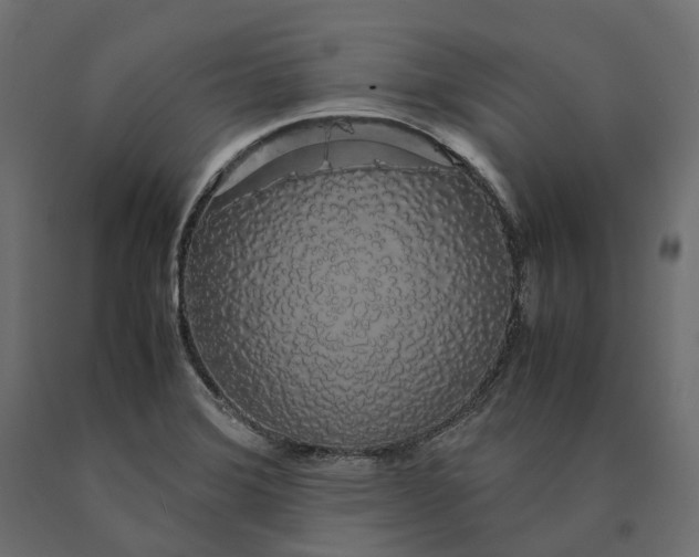 X0000090471372200708031255