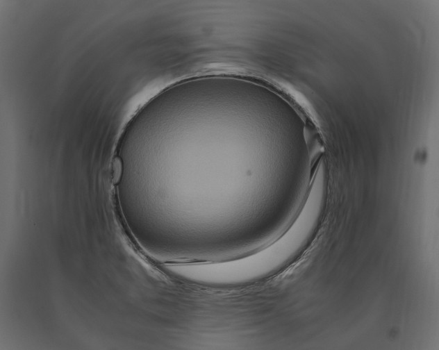 X0000090471373200708031255