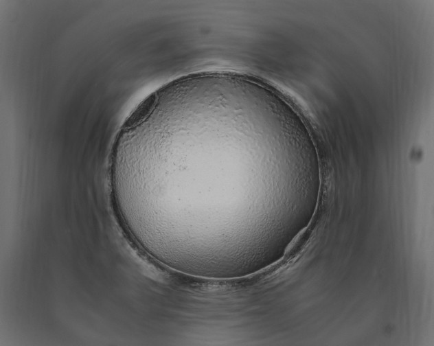 X0000090471375200708031255