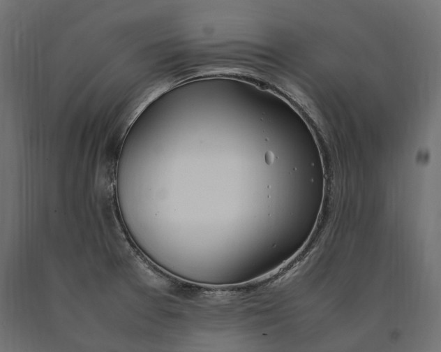 X0000090471377200708031255