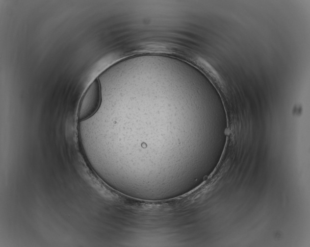 X0000090471378200708031255