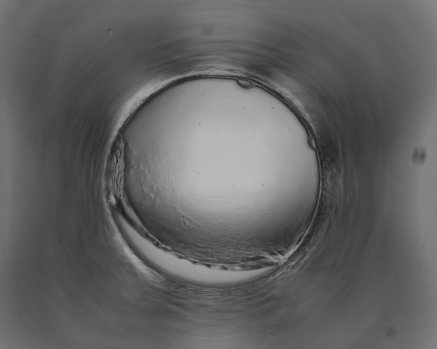 X0000090471379200708031255