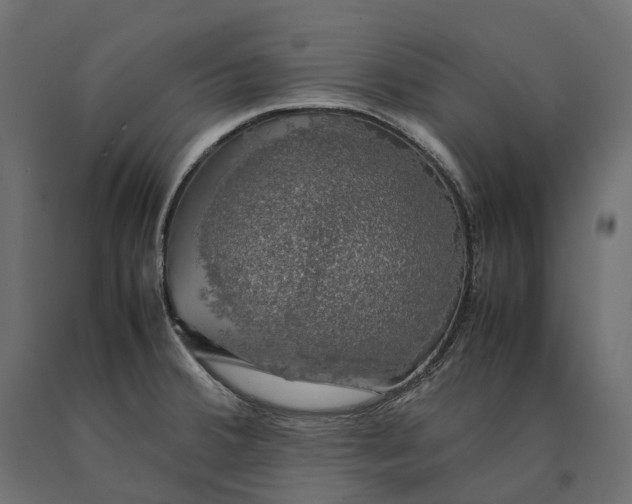 X0000090471380200708031255