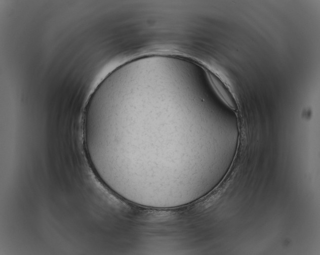 X0000090471382200708031255