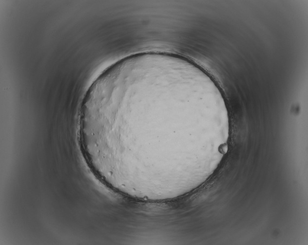 X0000090471383200708031255