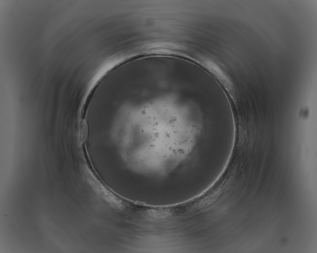 X0000090471384200708031255