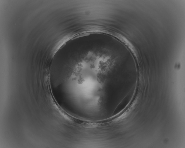 X0000090471385200708031255