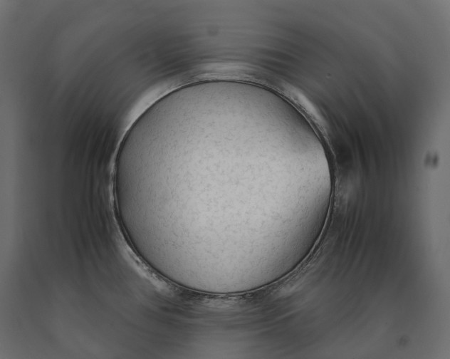 X0000090471386200708031255