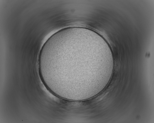 X0000090471387200708031255