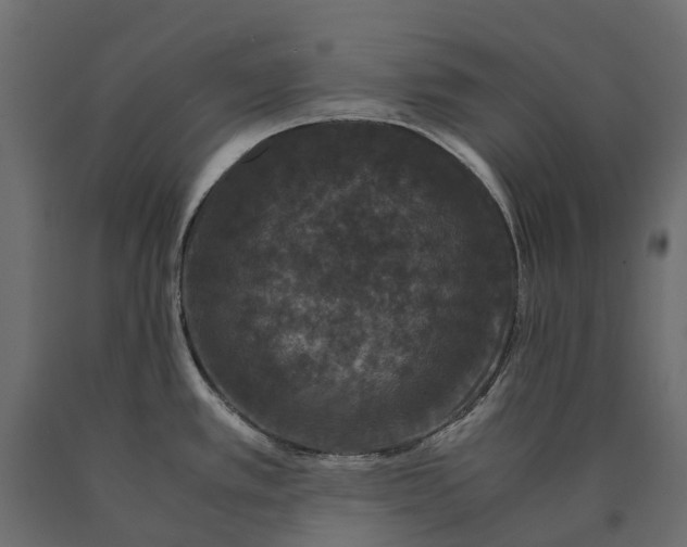 X0000090471389200708031255