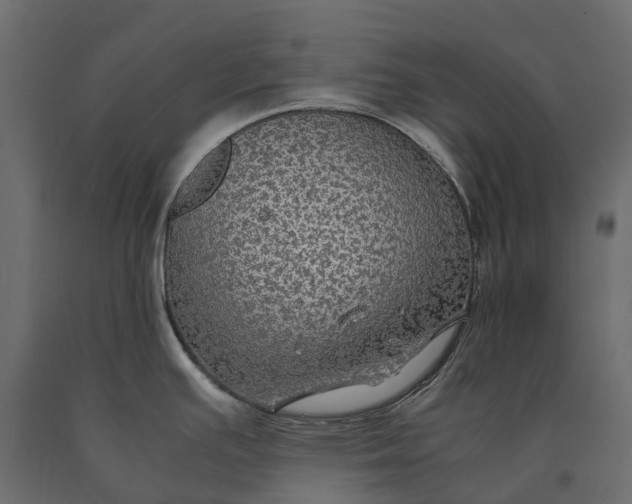 X0000090471391200708031255