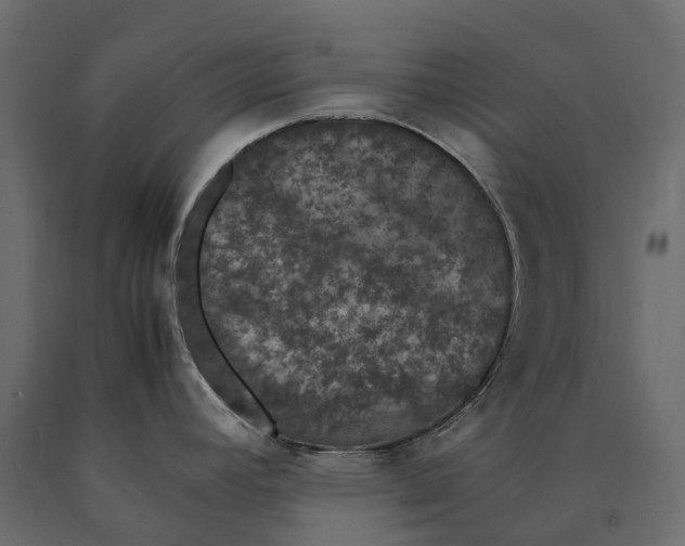 X0000090471392200708031255